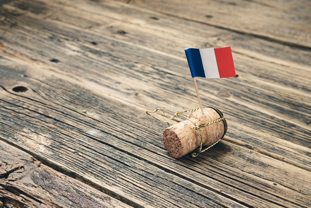 Demande de naturalisation française : tout ce que vous devez savoir